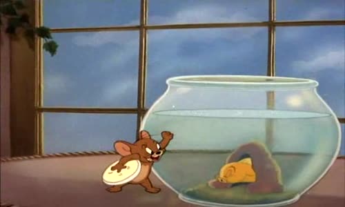 Tom a Jerry 06 Jerry a zlata rybka avi