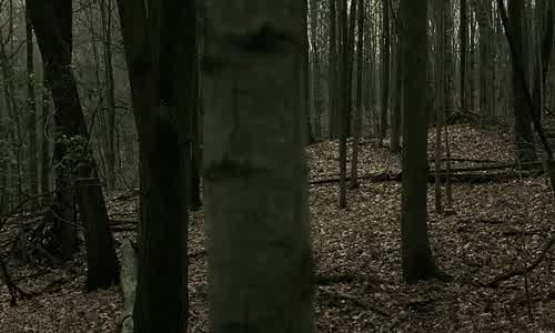Bitten S03E09-CZ Titulky avi