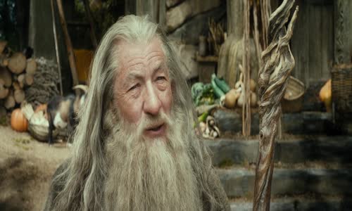The Hobbit The Desolation of Smaug 2013 EXTENDED 1080p BluRay x264 DTS-by Zajdafree mkv