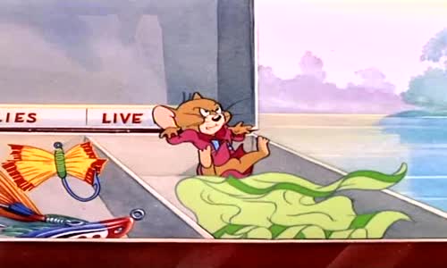 Tom a Jerry 07 avi