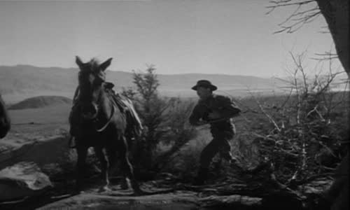 Pistolník =1950-Western-DVD-CZ avi