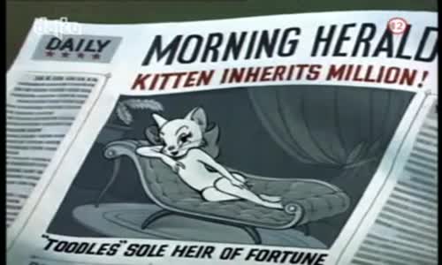 Tom a Jerry - Kasanova Tom avi
