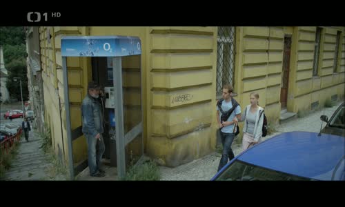 Láska je láska (2012) HDTVRip-ČESKÝ FILM mkv