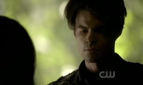 The vampire diaries 2x19 avi