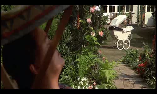 Pink Floyd The Wall 1982 DVDRip DivX avi
