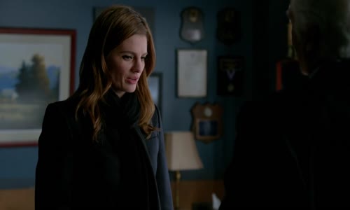 Castle na zabití S08E15 - Castle - WEBrip HD720p CZdabing mkv