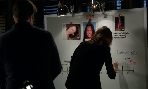 Castle na zabití S07E07 - Castle - WEBrip HD720p CZdabing mkv