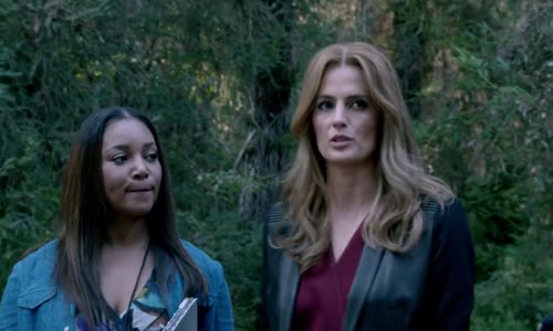 Castle na zabití S08E03 - Castle - WEBrip HD720p CZdabing mkv