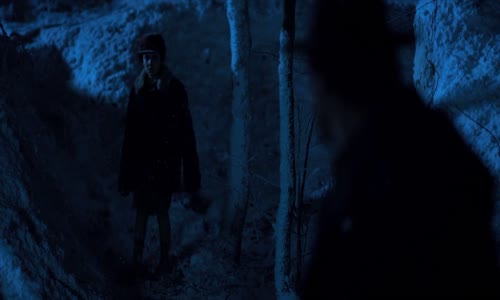 Stranger Things S02E03 CZ titulky 720p WEBRip avi