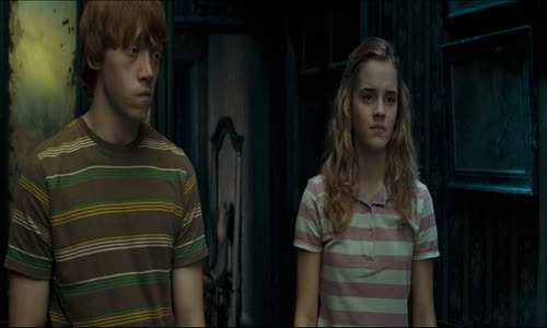 Harry Potter a Fénixův řád (2007) mkv