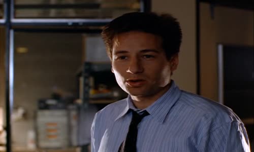 X-Files (Akta X) S01E20 CzDab avi