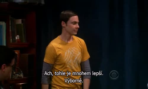 The Big Bang Theory S05E09 CzTit avi