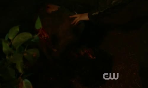 The 100 S01E10 CzTit avi