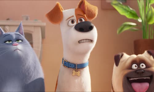 Tajny zivot mazlicku-The Secret Life of Pets 2016 1080p BluRay x264 CZ dab mkv