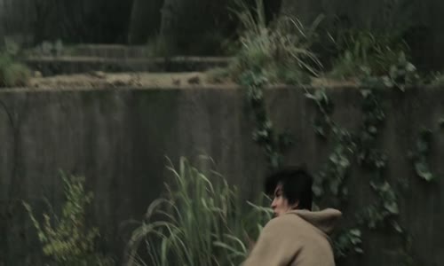 Shingeki no kyojin - Attack on Titan avi