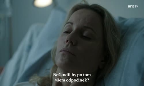 Most Bron S04E02 CZ titulky 720p HDTV avi