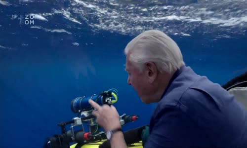 David Attenborough Velký bariérový útes-2-3 Návštěvníci (2015) 1080p AC3 Cz mkv