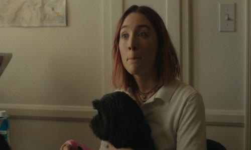 Lady Bird 2017 720p WEB-DL x264 CZ Titulky mkv