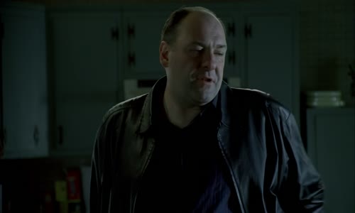 The Sopranos S06E21 BluRay 1080p AC3 x265 HEVC-LION[UTR] (CzAudio) mkv