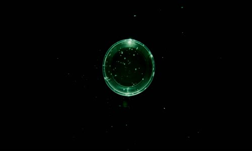 One Strange Rock S01E01 Gasp 1080p AMZN WEB-DL DDP5 1 H 264-NTb mkv