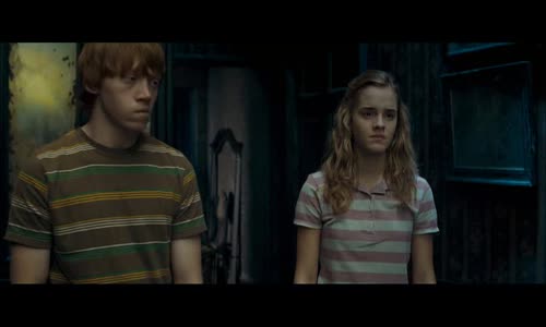 Harry Potter - (5) Fénixov rád (2007) avi