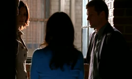 Castle na zabiti S01E09 DVDRip Xvid CZ_V007 avi