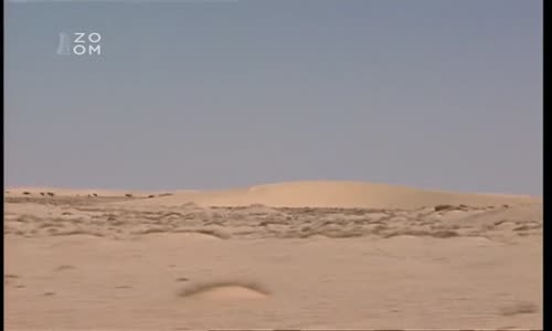Saharský expres (2005) CZ dabing Dokumentární (TVRip) mkv