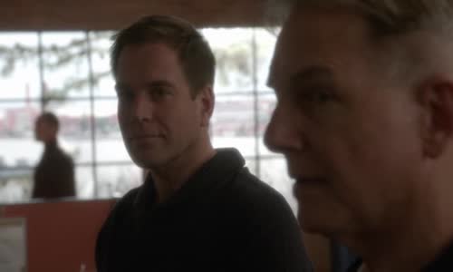 NCIS 12x19 Trpělivost avi