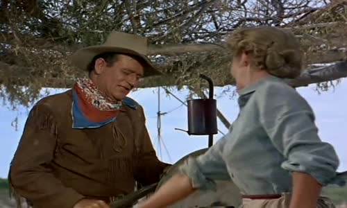 John Wayne-Hondo (1953) Cz -western avi