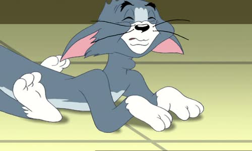 Tom a Jerry - Spolužiaci (School´s Out for Tom & Jerry 2010) 2 Cz avi