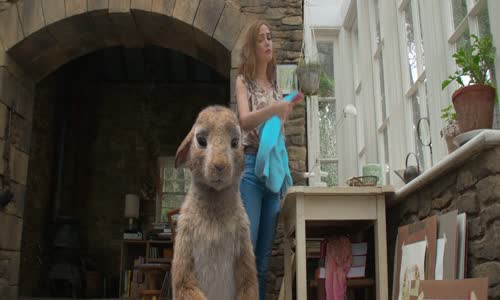 Kralicek Petr  Kralik Peter Rabbit (2018) 1080p BluRay CZ aj SK dabing mkv