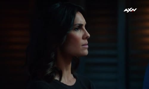 NCIS LA S07E23 TVRIP XviD cz avi