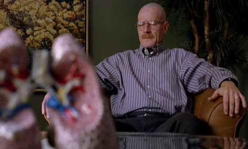 Breaking Bad S02E11 1080p x265 CZ EN  Mandala mkv