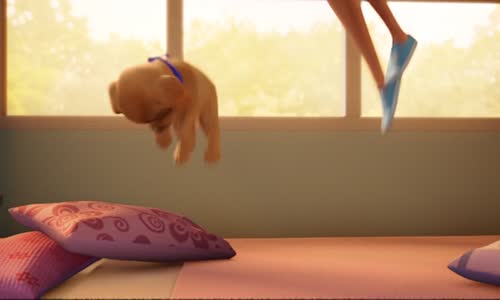 Barbie Psí dobrodružství = Barbie & Her Sisters in the Great Puppy Adventure (2015)(CZ) avi