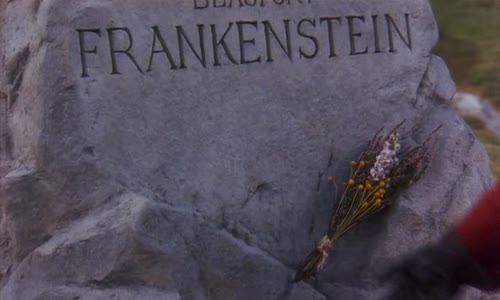 Frankenstein [CZ dabing, 1994] avi