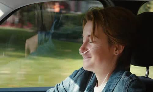 Hvezdy Nam Nepraly (The Fault In Our Stars) 2014 (CZ DAB) DVDrip avi