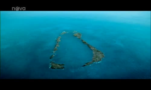 Aldabra - Byl jednou jeden ostrov avi