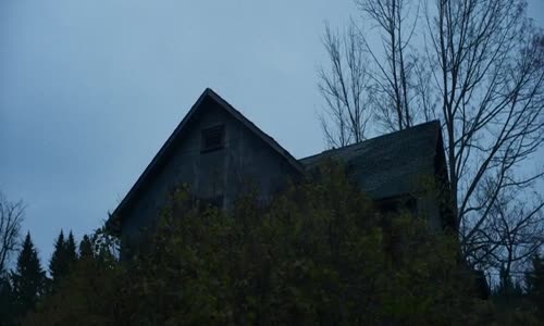 The Dark 2018 HDRip XviD AC3-EVO mkv CZ Titulky