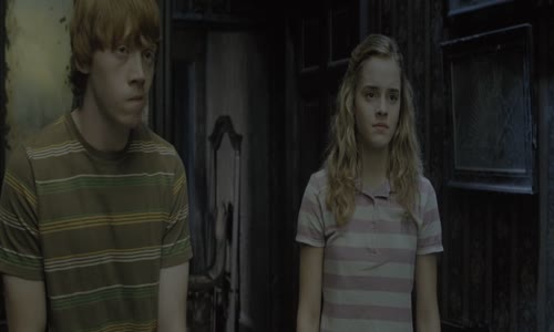 Harry Potter 5 a Fénixův řád (2007) 1080p CZ dabing mkv