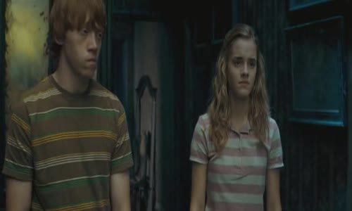Harry Potter 5 a Fénixův řád (2007) avi