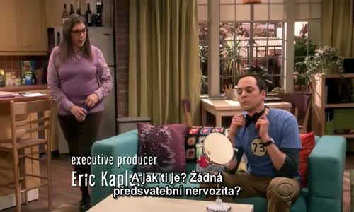 The Big Bang Theory S11E24 The Bow Tie Asymmetry CZ Tit avi