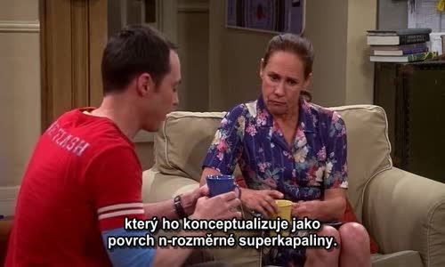 The Big Bang Theory S08E23 The Maternal Combustion avi