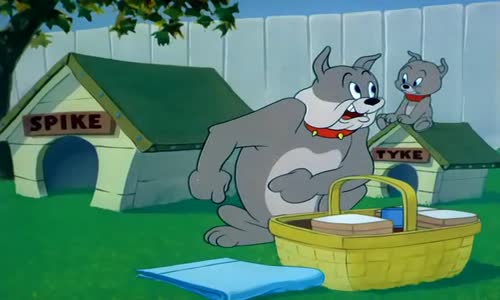 Tom and Jerry - 091 - Pup on a Picnic mkv