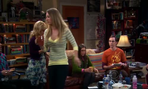 The Big Bang Theory S05E08 The Isolation Permutation avi