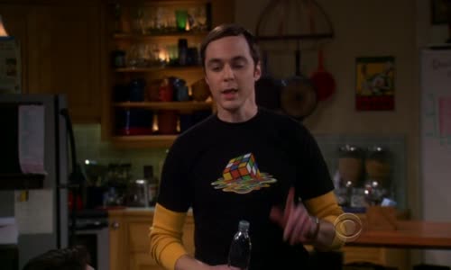 The Big Bang Theory S05E11 The Speckerman Reccurence avi