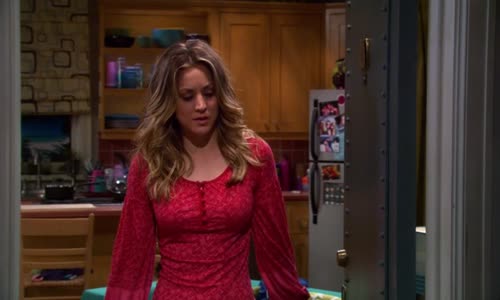 The Big Bang Theory S05E17 The Rothman Disintegration avi