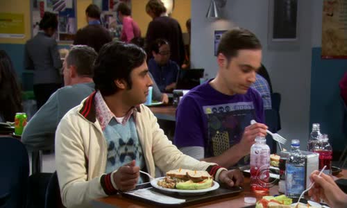 The Big Bang Theory S05E22 The Stag Convergence avi