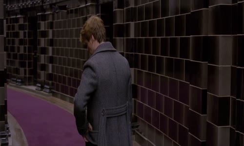 Fantastic Beasts The Crimes of Grindelwald 2018 1080p HDRip X264 AC3-EVO (1) mkv