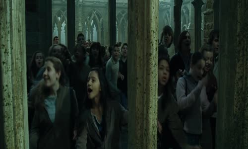 Harry Potter a Ohnivý pohár (2005) 1080p CZ dabing mkv