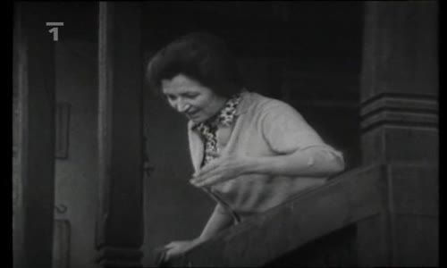 Mili Bakalari 3 avi